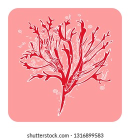 Coral. Nature Sign in Trend Color. Vector Illustration.