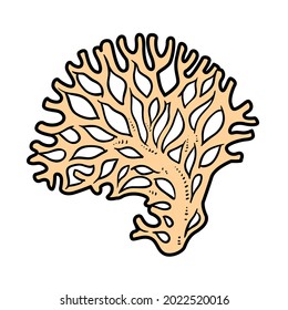 Coral object for  color variation for coloring page isolated on white background
