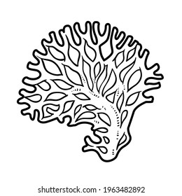 Coral object for coloring book linear drawing isolated on white background