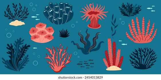 Coral and ocean plants set. Underwater flora and seaweed. Aquatic plant, tropical seabed elements vector collection.