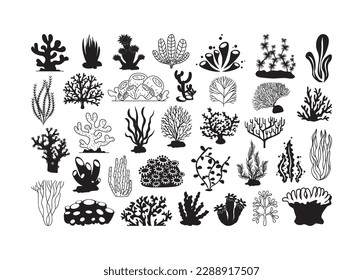 Coral Ocean vector For Print, Coral Ocean Clipart, Coral Ocean vector Illustration