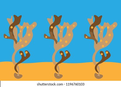 Coral on the bottom of the sea.