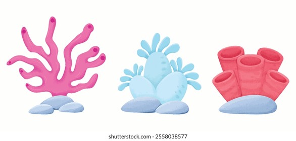 Coral Pack Element watercolor vector for bakcground