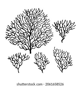 Coral patterning kit. Black ink brush texture.
