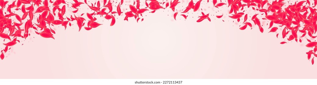 Coral Petal Vector Pink Panoramic Background. Japanese Cherry Texture. Red Lotus Fall Illustration. Ruby Falling Peach Design.