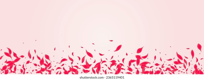 Coral Petal Vector Pink Panoramic Background. Flying Cherry Template. Scarlet Floral Japan Backdrop. Ruby Blur Blossom Illustration.