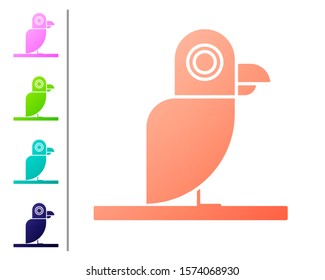 Coral Pirate parrot icon isolated on white background. Set color icons. Vector Illustration