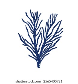 Coral plant, underwater exotic seaweed. Marine branch, tropical reef weed. Organic sea flora, alga. Undersea under water vegetation. Flat graphic vector illustration isolated on white background