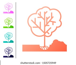 Coral Planting a tree in the ground icon isolated on white background. Gardening, agriculture, caring for environment. Set color icons. Vector Illustration