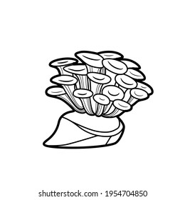 Coral polyp coloring book linear drawing isolated on white background