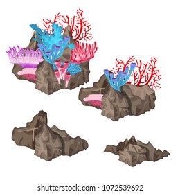 Coral polyps on a stony seabed isolated on a white background. Stages of coral reef growth. Vector cartoon close-up illustration.