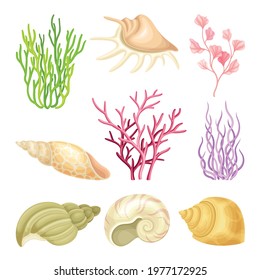 Coral Polyps and Seashell as Marine Fauna Vector Set