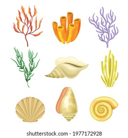 Coral Polyps and Seashell as Marine Fauna Vector Set