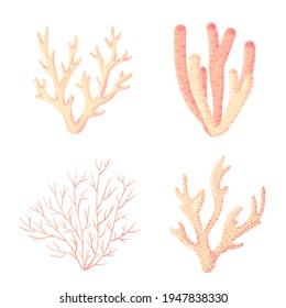 Coral, polyps vector underwater plants. Aquarium, ocean and undersea life isolated on white background. Aquarium fauna and ocean reef habitats in a simple cartoon style. Sticker collection.