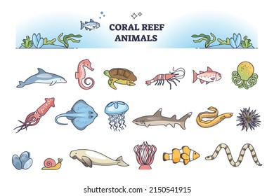 Coral reef animals collection with underwater wildlife elements outline set. Ocean and sea nature species with biology flora items vector illustration. Undersea ecosystem with marine fishes types.