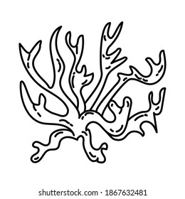 Coral Reef Beach Holiday Hand Drawn Icon Set Vector.
