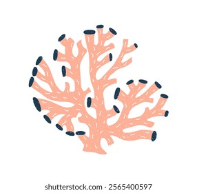 Coral reef branch. Exotic marine underwater plant. Ocean fauna, tropical hard structure. Decorative sea nautical decor. Undersea decoration. Flat vector illustration isolated on white background