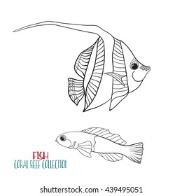 Coral reef collection. Sea or aquarium fish. Outline Vector illustration. Coloring book for adult and older children. Outline drawing coloring page.