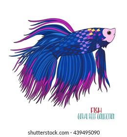 Coral reef collection. Sea or aquarium fish. Colored Vector illustration. 