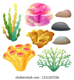 coral reef collection set