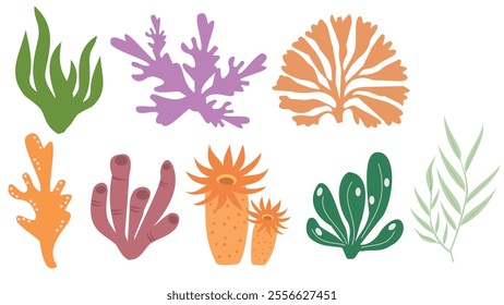 Coral Reef collection. Vector of various types of coral isolated on white background