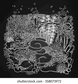 Coral reef design  in line art style. Ocean plants and rocks isolated on chalkboard