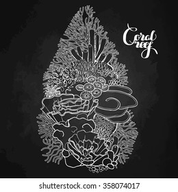 Coral reef design  in line art style. Ocean plants and rocks isolated on chalkboard