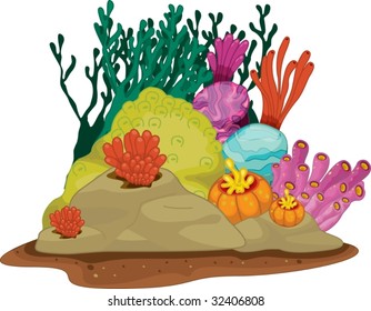 Coral Reef With Detail On White