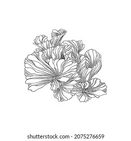 Coral reef element or seaweed in monochrome sketch style, vector illustration isolated on white background. Hand drawn underwater plant for marine design. Black and white engraved coral.