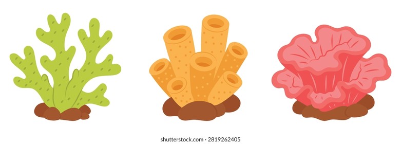 Coral Reef Elements With Seaweed, Sponge And Soft Coral Isolated On White Background.