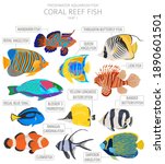 Coral reef fish. Freshwater aquarium fish icon set flat style isolated on white.  Vector illustration