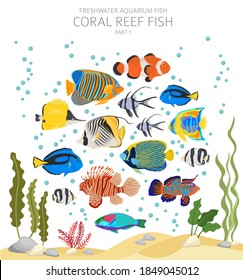 Coral reef fish. Freshwater aquarium fish icon set flat style isolated on white.  Vector illustration