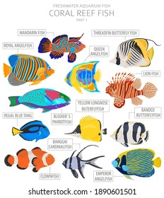 Coral Reef Fish. Freshwater Aquarium Fish Icon Set Flat Style Isolated On White.  Vector Illustration