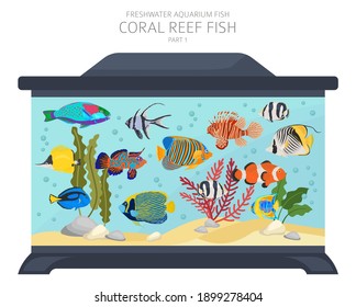 Coral reef fish. Freshwater aquarium fish icon set flat style isolated on white.  Vector illustration