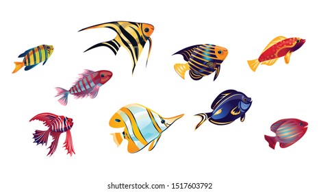 Coral reef fish set. Vector illustration in the flat cartoon style