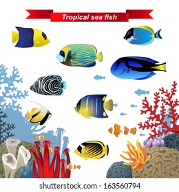 Coral reef fishes 