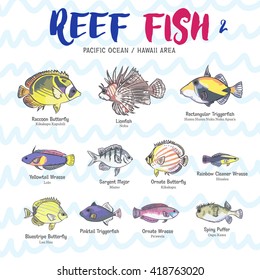 Coral reef fishes from Pacific ocean (Hawaii area). Ten different fish sorts with names. Vector illustrations.