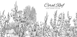 Coral Reef Hand Drawn Background Or Seamless Banner In Sketch Style, Vector Illustration On White. Underwater Life Or Aquarium With Exotic Marine Seaweed. Engraved Monochrome Sea Bottom.