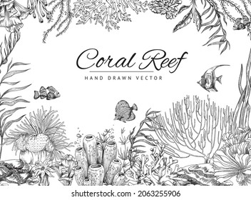 Coral reef hand drawn banner or flyer, vector illustration in engraved sketch style. Underwater life with fishes background with copy space for text.