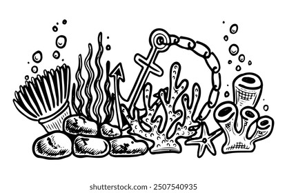 Coral reef hand drawn doodle. Ship anchor. Seaweed, corals, stones, starfish seabed. Diving sea bottom. Vector sketch line art illustration.