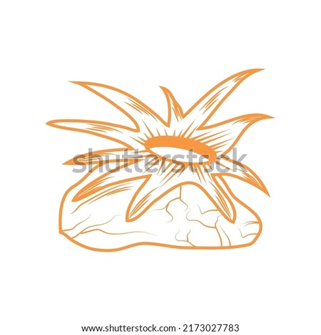 coral and reef icon flat isolated