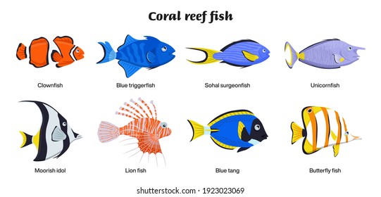 Coral reef inhabitants. Endangered fish species. Threatened fish stocks. Clownfish, blue triggerfish, unicornfish, surgeonfish, moorish idol, lionfish. Editable vector illustration in bright colors. 