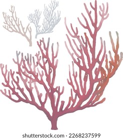 Coral reef. Isolated on white background. vector illustration.