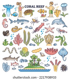 Coral reef kids elements with underwater fauna and flora outline collection set. Ocean and sea nature assets with tropical aquatic animals vector illustration. Exotic water algae and colorful leaves.