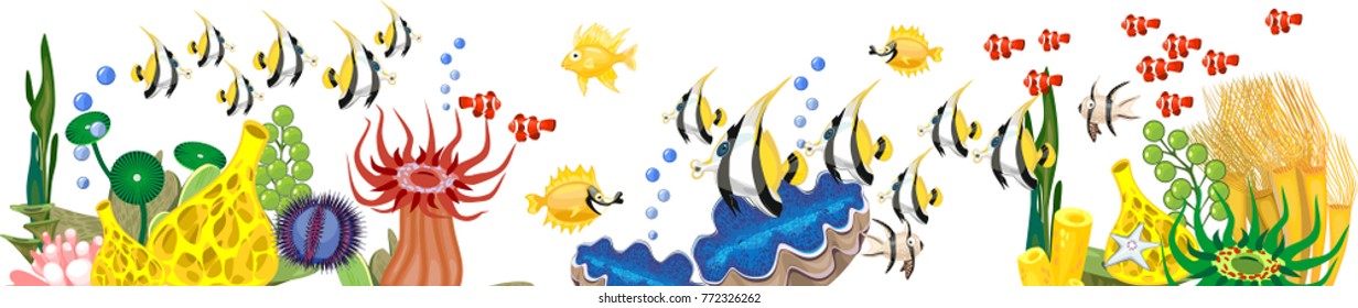Coral reef with large number of different bright marine fishes, corals and other marine animals