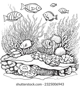 Coral Reef ,Magical coloring book with fairy tale animals. Color enchanting creatures like Griffins , Phoenix, Dragon and mermaids. Let your imagination roam.