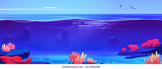 Coral reef ocean or sea underwater background cross view. Bottom with sand and seaweeds grow at rocks under sun beams falling from sky with flying birds. Marine undersea Cartoon vector illustration