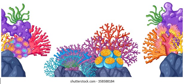 Coral reef on the rocks illustration