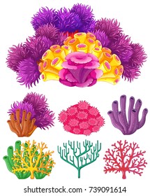 Coral reef on white background illustration