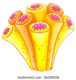 Coral reef in orange color illustration